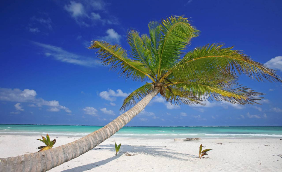 2018致夏天的自己的心情說說 夏季致自己的感言短語朋友圈