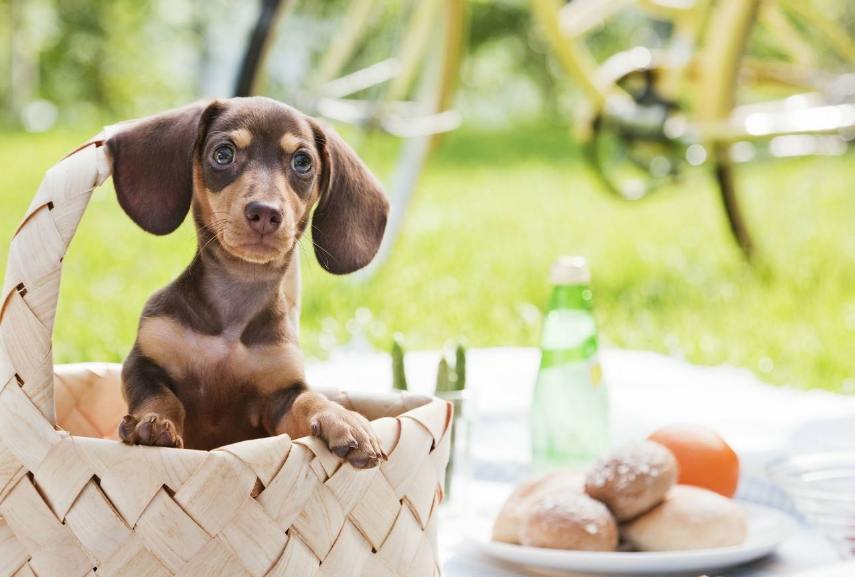 單純的六月心情說說 六月在夏天之前的心情感慨朋友圈 單純的六月心情說說 六月在夏天之前的心情感慨朋友圈