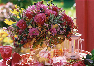 分享夏天的花圖片心情說說 在夏天盛開的花朵配圖句子說說 分享夏天的花圖片心情說說 在夏天盛開的花朵配圖句子說說