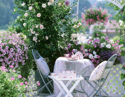 分享夏天的花圖片心情說說 在夏天盛開的花朵配圖句子說說 分享夏天的花圖片心情說說 在夏天盛開的花朵配圖句子說說