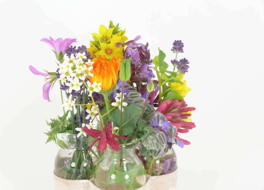 分享夏天的花圖片心情說說 在夏天盛開的花朵配圖句子說說 分享夏天的花圖片心情說說 在夏天盛開的花朵配圖句子說說