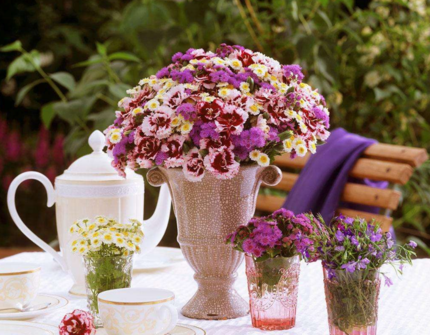 分享夏天的花圖片心情說說 在夏天盛開的花朵配圖句子說說 分享夏天的花圖片心情說說 在夏天盛開的花朵配圖句子說說