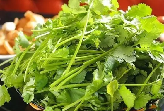 夏天生氣回奶怎么挽救2018 為什么哺乳媽媽生氣會回奶