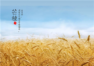 2018今日芒種帶圖心情說說 今天是芒種配圖短語說說朋友圈