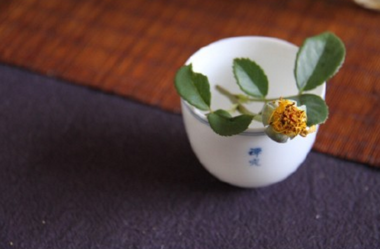 芒種送花神的短語句子 送花神迎盛夏的心情說說問候語 芒種送花神的短語句子 送花神迎盛夏的心情說說問候語