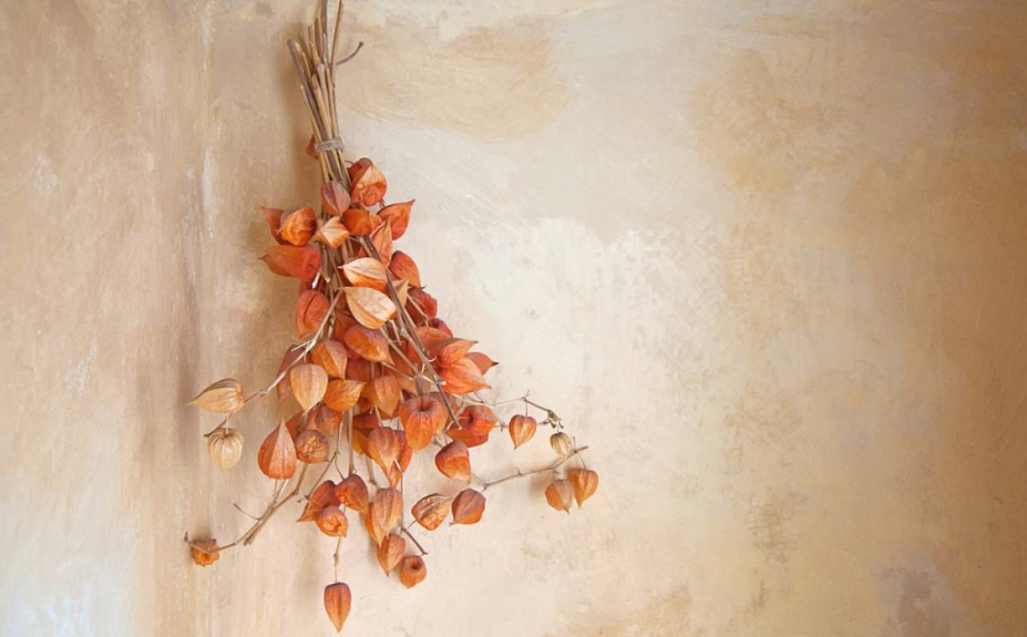 芒種送花神的短語句子 送花神迎盛夏的心情說說問候語 芒種送花神的短語句子 送花神迎盛夏的心情說說問候語