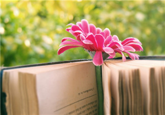 仲夏你好的心情說說圖片 關(guān)于仲夏到來的唯美句子短語