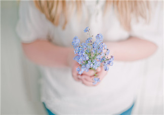 仲夏早安曬圖朋友圈說說 描寫仲夏美好的句子心情