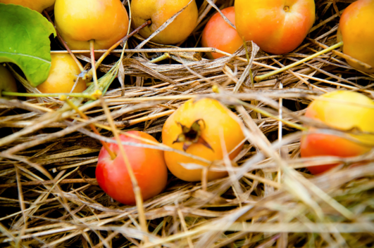 感慨盛夏光年的心情說說 盛夏的一場狂歡來到了光年之外 感慨盛夏光年的心情說說 盛夏的一場狂歡來到了光年之外