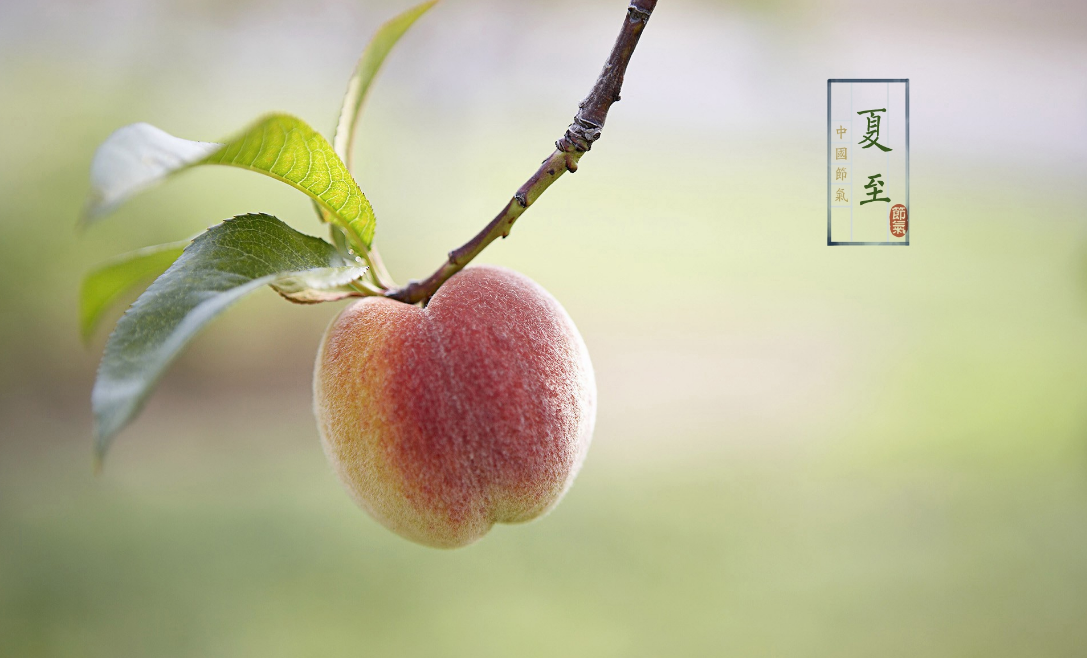 關于夏至節氣的心情說說 2018夏至節氣的經典句子短語