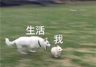 熱到想哭的心情說說圖片 熱到流淚的句子短語感慨