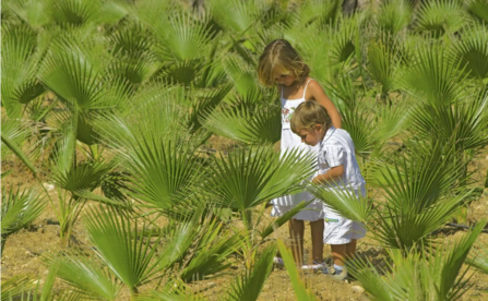 戶外活動可以減少孩子近視嗎 多在戶外活動能不能預防近視