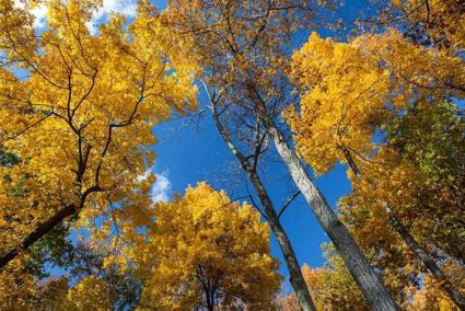 什么時(shí)候最適合懷孕 2018最適合懷孕時(shí)機(jī)推薦