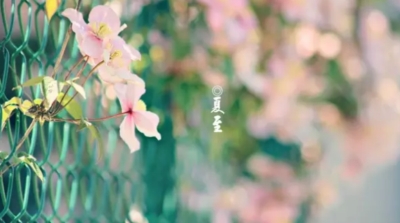 夏至之后寶寶出汗多原因2018 夏至寶寶養生健康方法