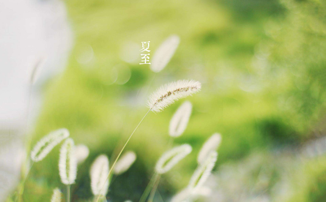 2018今天夏至的早安心語說說 今日夏至的帶圖早安短語朋友圈 2018今天夏至的早安心語說說 今日夏至的帶圖早安短語朋友圈