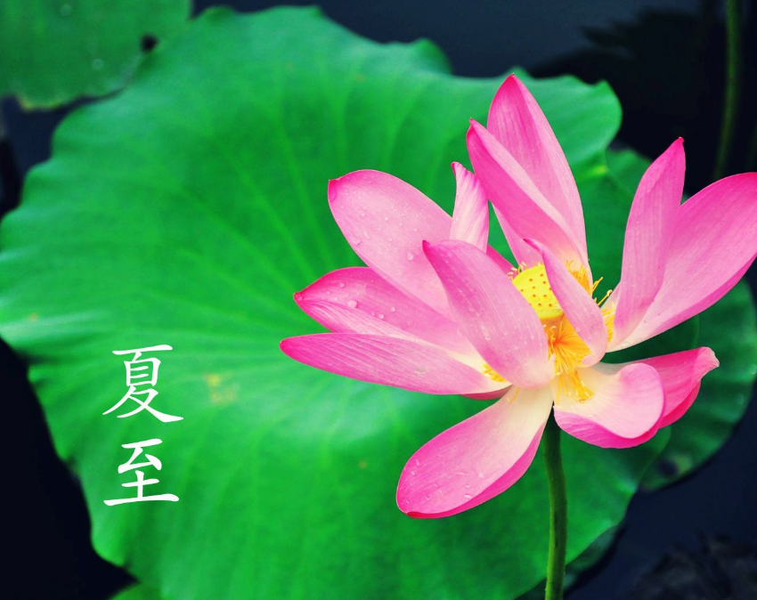 2018今天夏至的早安心語說說 今日夏至的帶圖早安短語朋友圈 2018今天夏至的早安心語說說 今日夏至的帶圖早安短語朋友圈