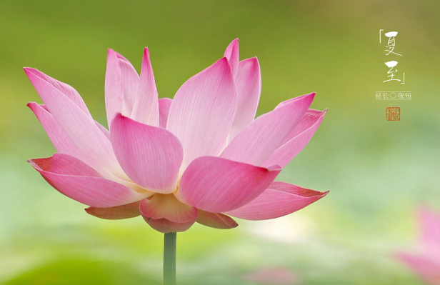 為什么夏至白天最長 夏至就是炎熱的夏天來臨