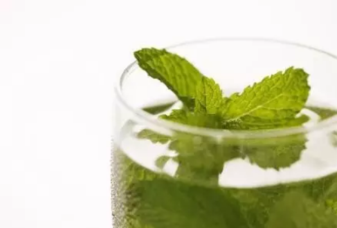 小孩怎么用薄荷去痱子2018 如何制作薄荷水應對痱子