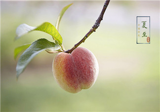 2018今天夏至的早安心語說說 今日夏至的帶圖早安短語朋友圈