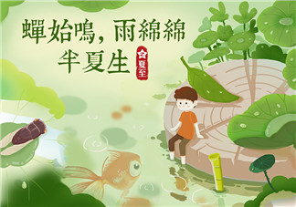 夏至節氣吃什么傳統食物 夏至養生吃什么好2018 夏至節氣吃什么傳統食物 夏至養生吃什么好2018