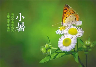 2018小暑節氣的天氣怎么樣 大暑熱還是小暑熱