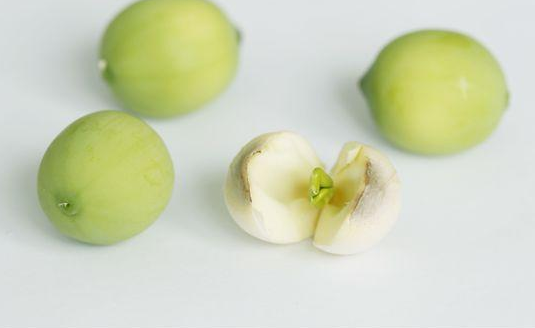 三伏天消暑吃什么好 夏季暑濕適宜清補