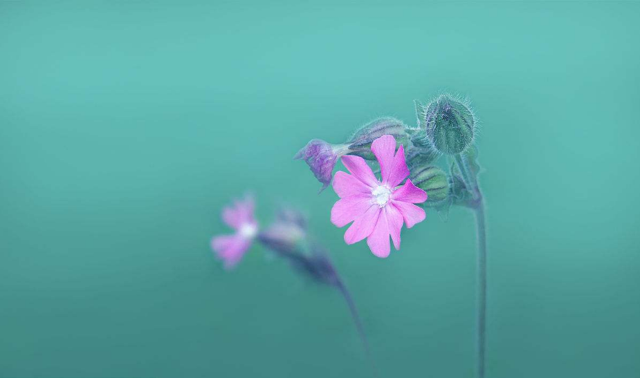 2018致七月的自己說說心情大全 正能量寫給7月的的自己的句子短語 2018致七月的自己說說心情大全 正能量寫給7月的的自己的句子短語