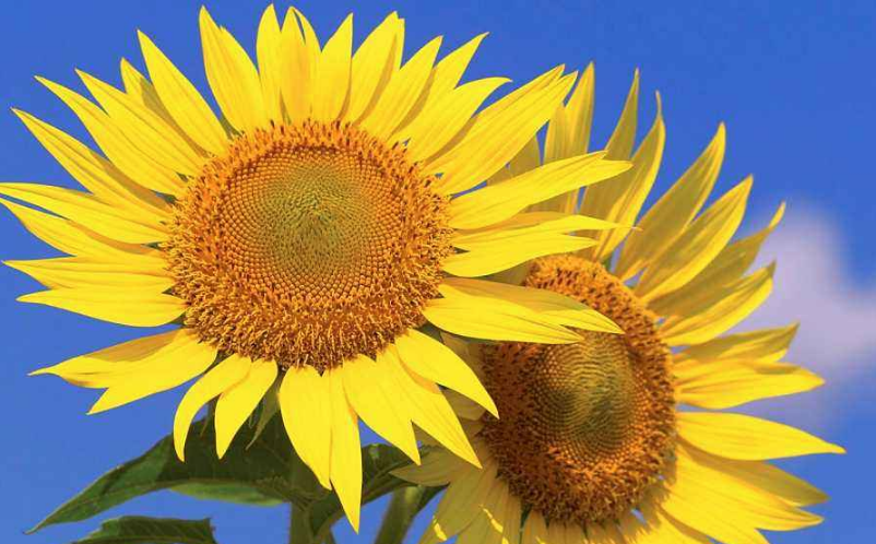 2018致七月的自己說說心情大全 正能量寫給7月的的自己的句子短語 2018致七月的自己說說心情大全 正能量寫給7月的的自己的句子短語