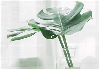 6月再見的心情說說圖片 再見6月說說朋友圈句子