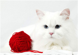 一晃半年過去了的心情說說 2018轉眼半年過去了的感慨句子