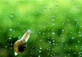 2018梅雨季節在什么時候 梅雨季節要怎么確立呢