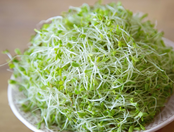 2018小暑吃什么傳統(tǒng)食物 小暑怎么防暑指南 2018小暑吃什么傳統(tǒng)食物 小暑怎么防暑指南