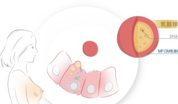 產后乳房不下垂的方法有哪些 產后乳房護理方法2018 產后乳房不下垂的方法有哪些 產后乳房護理方法2018