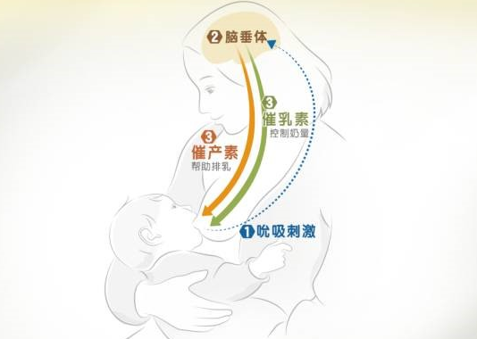 夏天懷孕乳頭上有淡黃色的乳汁怎么回事 懷孕期的泌乳是正常的嗎