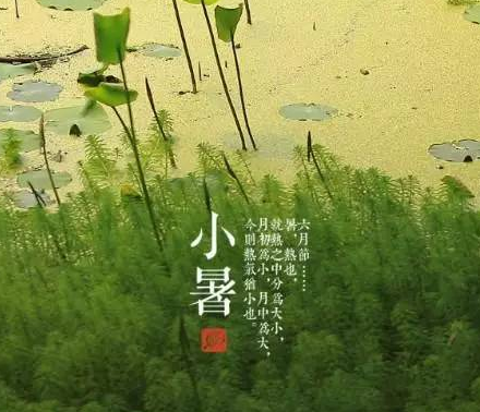 2018小暑是三伏天開始嗎 2018什么時候進伏 2018小暑是三伏天開始嗎 2018什么時候進伏