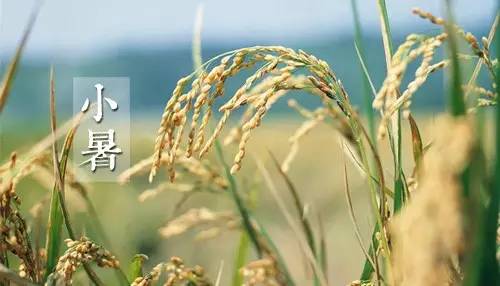 2018小暑是三伏天開始嗎 2018什么時候進伏 2018小暑是三伏天開始嗎 2018什么時候進伏