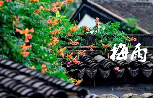 2018梅雨季節在什么時候 梅雨季節要怎么確立呢