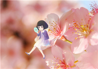 2018下半年你好發朋友圈配文 你好下半年唯美句子說說