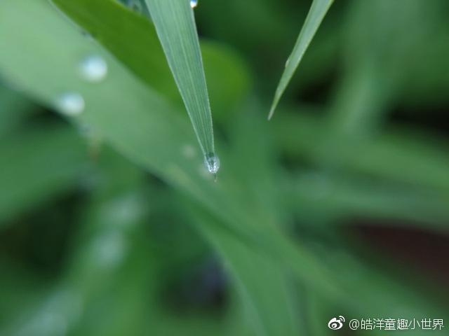 梅雨天的心情說說 2018梅雨季節說說朋友圈
