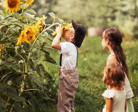 要不要給孩子定規矩 要注意培養孩子的是非觀 要不要給孩子定規矩 要注意培養孩子的是非觀
