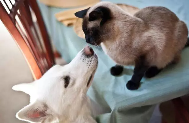 備孕二胎要做哪些準(zhǔn)備工作 準(zhǔn)媽媽二胎準(zhǔn)備工作一覽 備孕二胎要做哪些準(zhǔn)備工作 準(zhǔn)媽媽二胎準(zhǔn)備工作一覽