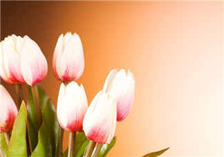 hello July的帶圖心情說說 2018七月你好帶圖句子短語