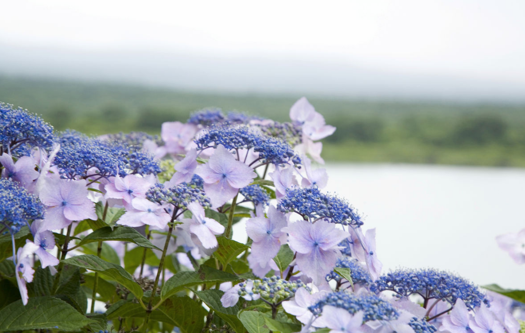 梅雨天發朋友圈心情說說 2018梅雨天怎么發說說句子短語