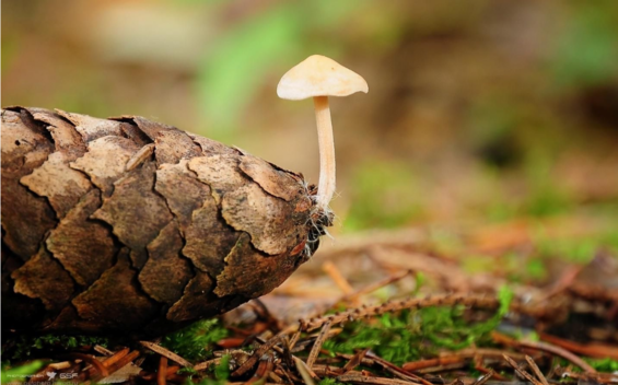 梅雨天發朋友圈心情說說 2018梅雨天怎么發說說句子短語