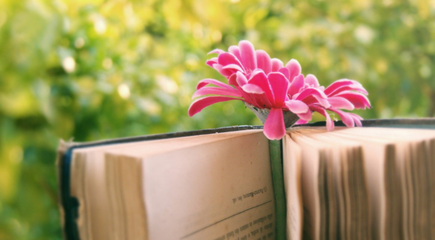 迎接下半年的勵志心情說說 期待下半年激勵正能量句子朋友圈