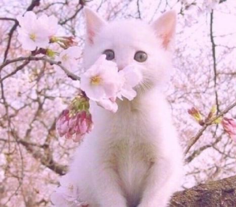 2018七月你好圖片 七月你好發(fā)朋友圈心情句子