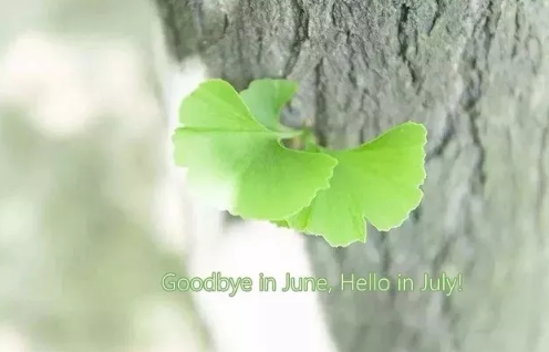 2018下半年的第一天說說 上半年的遺憾都是下半年的鋪墊