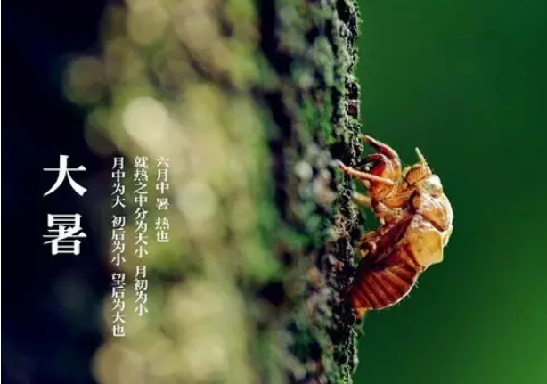 大暑寶寶節(jié)氣養(yǎng)生怎么做2018 寶寶大暑節(jié)氣吃什么食物好 大暑寶寶節(jié)氣養(yǎng)生怎么做2018 寶寶大暑節(jié)氣吃什么食物好