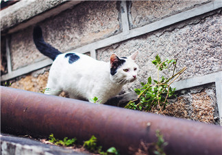 轉眼半年過去了說說句子圖片 轉眼間大半年又過去了的感慨