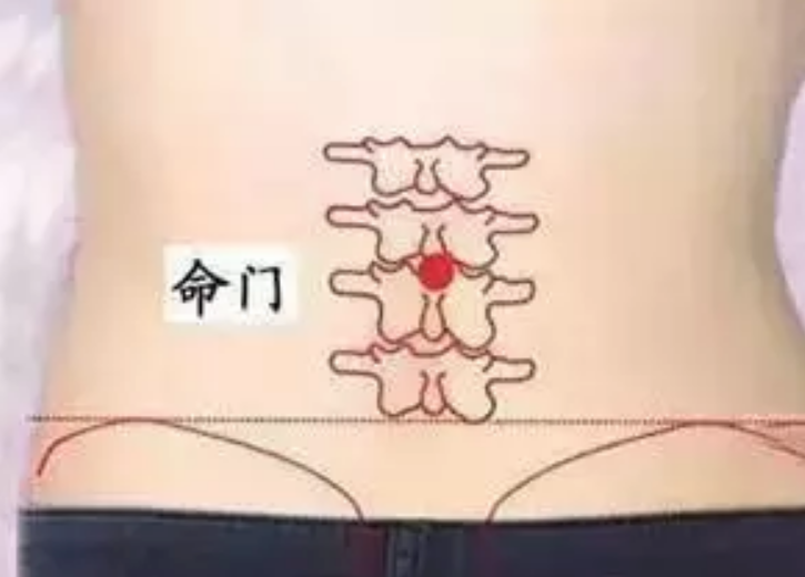 三伏天減肥怎么艾灸 2018三伏天艾灸減肥穴位原理方法 三伏天減肥怎么艾灸 2018三伏天艾灸減肥穴位原理方法